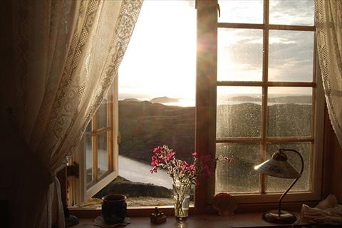 The Logic of a Successful Morning: Crafting Your Ultimate Daily Vitality Routine A bright morning window with sunlight streaming in, representing a logical and healthy start to the day