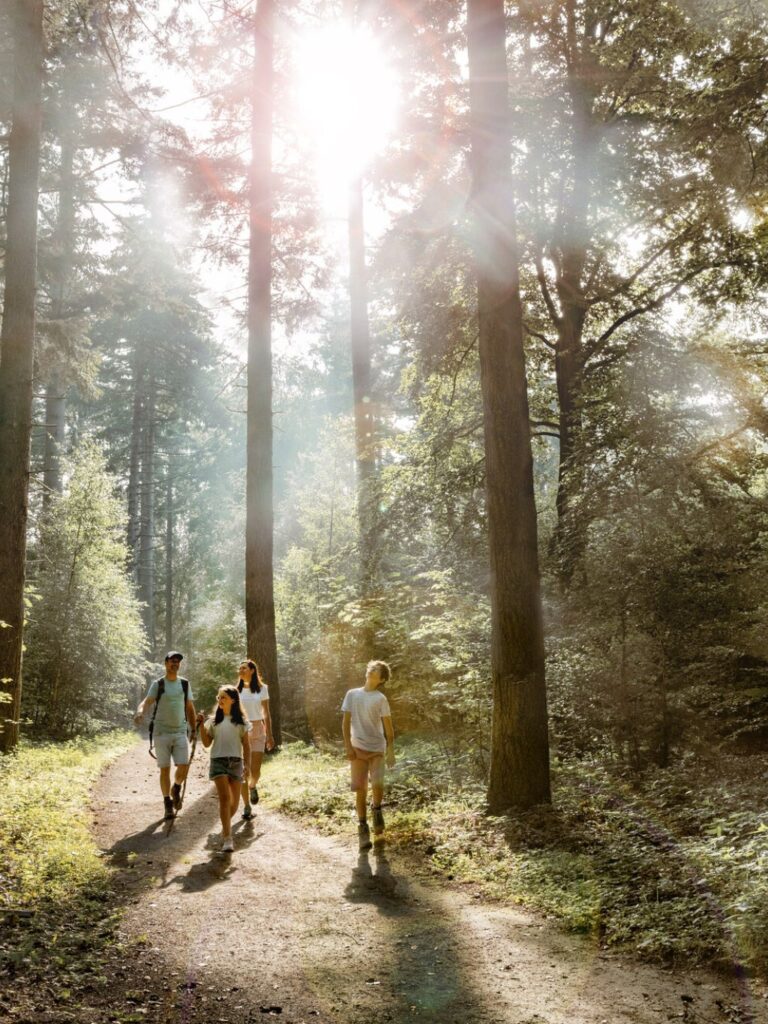How Walking 30 Minutes a Day Changes Your Body lage resolutie domein ryckevelde