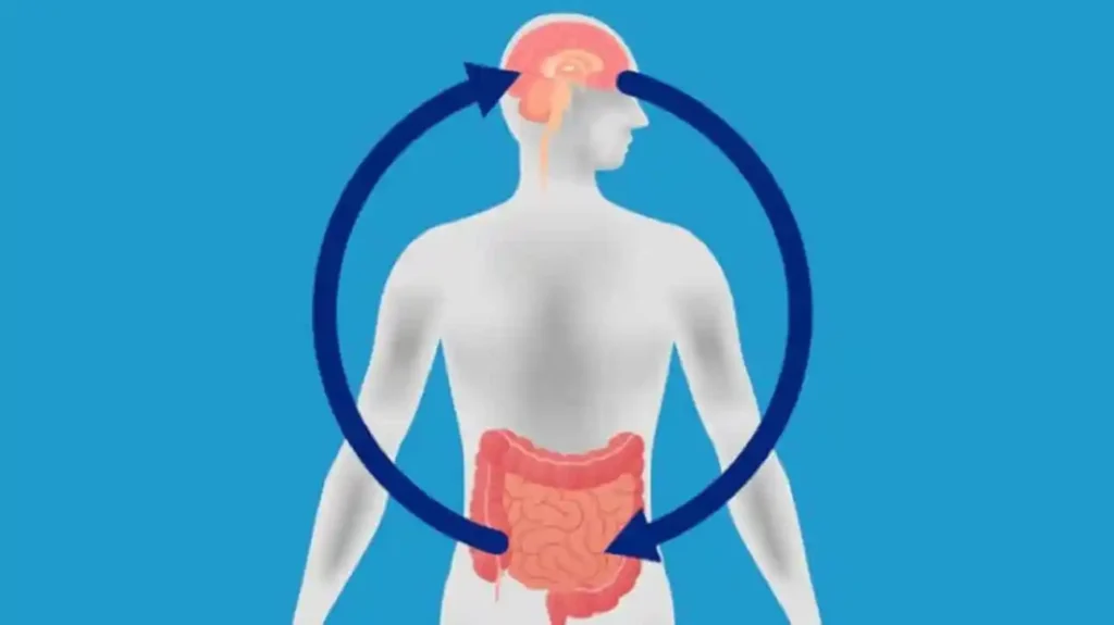 The Gut-Brain Axis: The Logical Connection Between Your Digestion and Mental Clarity brain