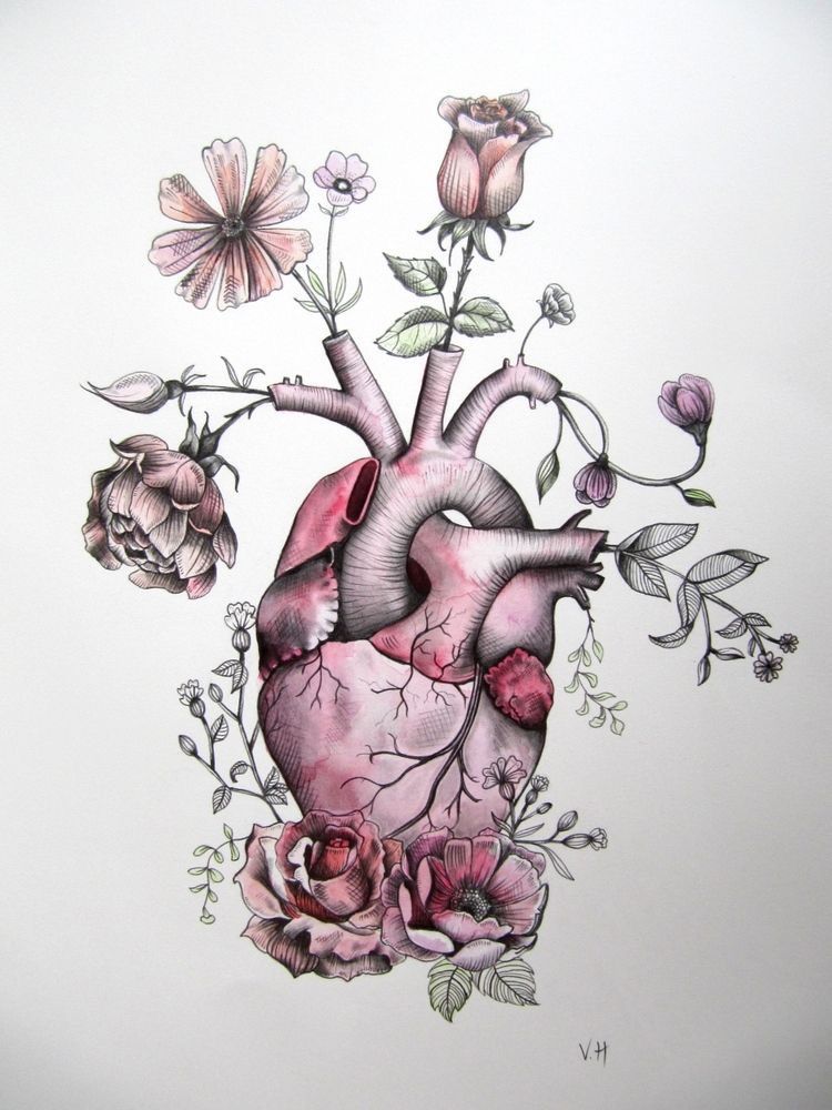 The Heart’s Logic: Understanding the Fundamentals of Cardiovascular Health e56911d2c0700936b03675bd4f8b0434